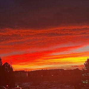 Meet your Posher, Quincy